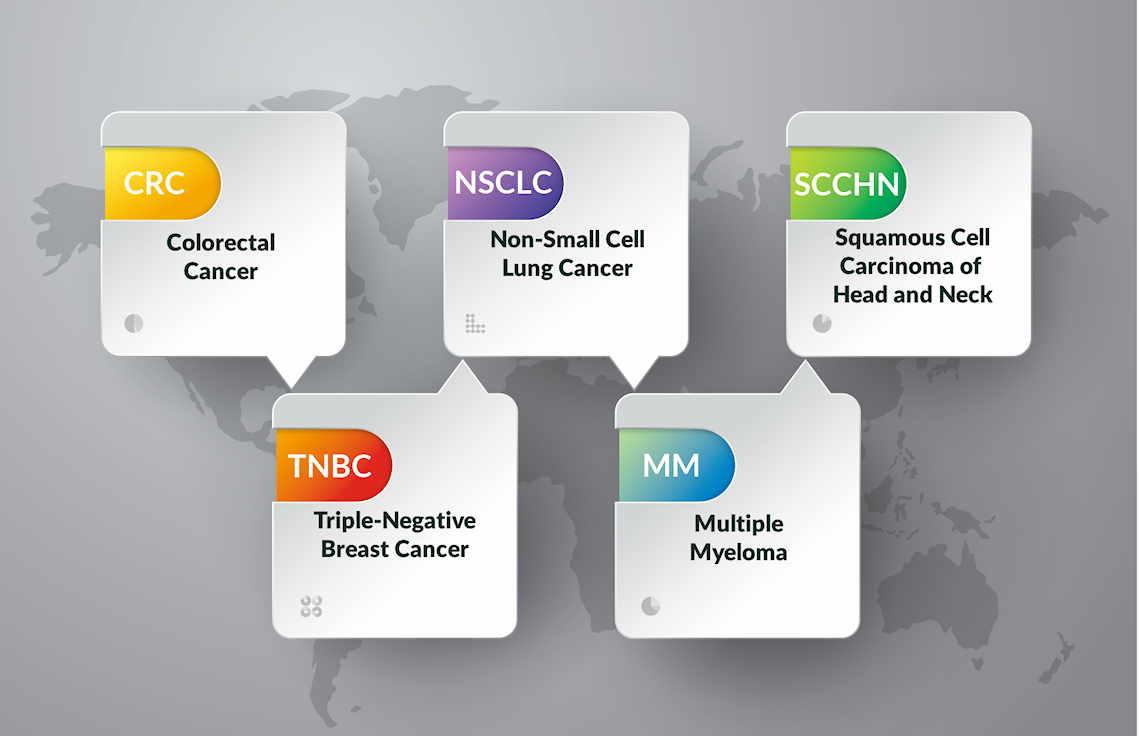 Triple Negative Breast Cancer (TNBC), highly aggressive cancers, pancreatic cancer, lung cancer, Squamous Cell Carcinoma of the Head and Neck (SCCHN), Colorectal Cancer (CRC) , Non-Small-Cell Lung Cancer (NSCLC), Multiple Myeloma (MM), Bladder Cancer  / Urothelial Carcinoma (UC), treatments, therapeutics, drugs